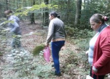 CAM00100 Wrzesień – grzybobranie i spacer po lesie