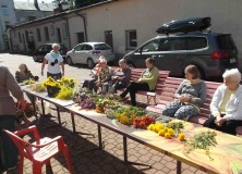 DSCF2275 Przygotowania do Święta Matki Boskiej Zielnej – 12.08.2016