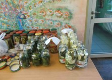 DSCF2350 Przetwory z ogórków – 18.08.2016