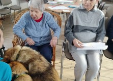 2022-12-12 | Dogoterapia