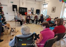 2022-12-19 | Dogoterapia